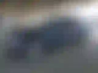 Vehicle Image- 2023 Tesla Model Y