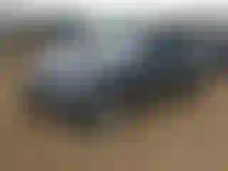 Vehicle Image- 2023 Tesla Model Y