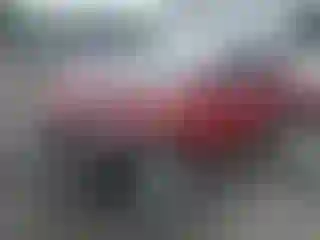 Vehicle Image- 2023 Tesla Model Y