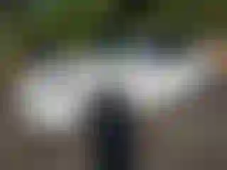 Vehicle Image- 2023 Tesla Model Y