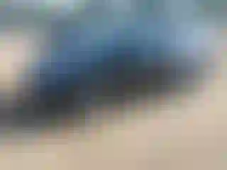 Vehicle Image- 2024 Tesla Model Y