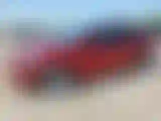 Vehicle Image- 2024 Tesla Model Y