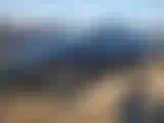 Vehicle Image- 2024 Tesla Model Y