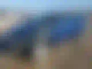 Vehicle Image- 2024 Tesla Model Y