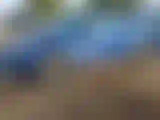 Vehicle Image- 2024 Tesla Model Y
