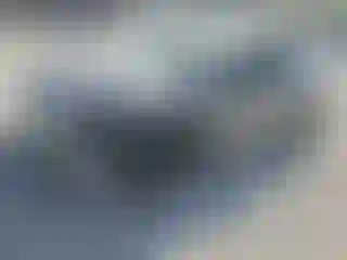 Vehicle Image- 2026 Tesla Model Y