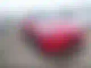 Vehicle Image- 2022 Tesla Model Y