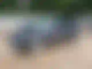 Vehicle Image- 2023 Tesla Model Y