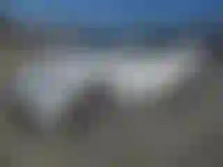 Vehicle Image- 2023 Tesla Model Y