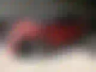 Vehicle Image- 2023 Tesla Model Y