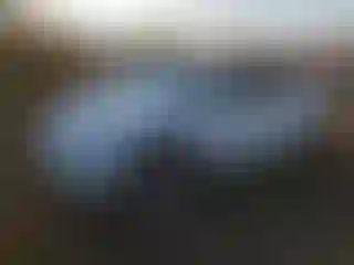Vehicle Image- 2023 Tesla Model Y