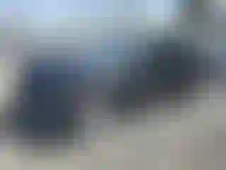 Vehicle Image- 2023 Tesla Model Y