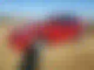 Vehicle Image- 2023 Tesla Model Y