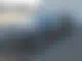 Vehicle Image- 2024 Tesla Model Y