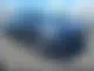 Vehicle Image- 2024 Tesla Model Y