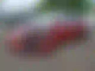 Vehicle Image- 2024 Tesla Model Y