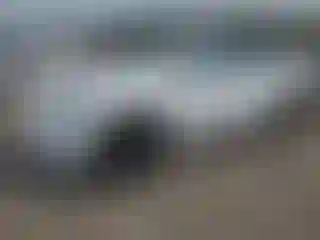 Vehicle Image- 2025 Tesla Model Y