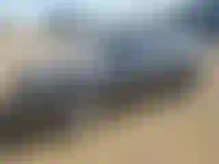 Vehicle Image- 2022 Tesla Model Y