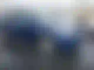 Vehicle Image- 2022 Tesla Model Y