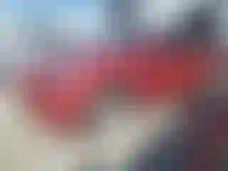 Vehicle Image- 2023 Tesla Model Y