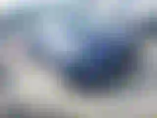 Vehicle Image- 2023 Tesla Model Y