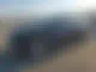 Vehicle Image- 2023 Tesla Model Y