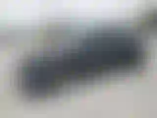 Vehicle Image- 2024 Tesla Model Y