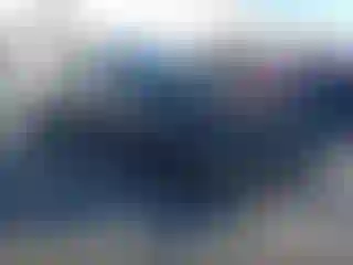 Vehicle Image- 2024 Tesla Model Y