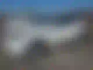 Vehicle Image- 2022 Tesla Model Y