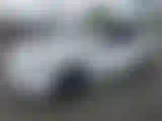 Vehicle Image- 2022 Tesla Model Y