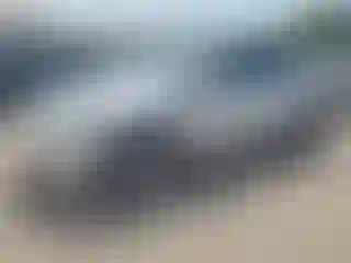 Vehicle Image- 2023 Tesla Model Y