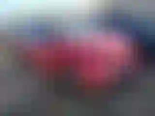 Vehicle Image- 2023 Tesla Model Y