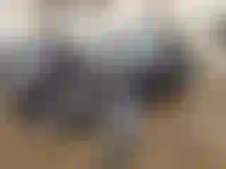 Vehicle Image- 2023 Tesla Model Y