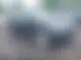 Vehicle Image- 2023 Tesla Model Y