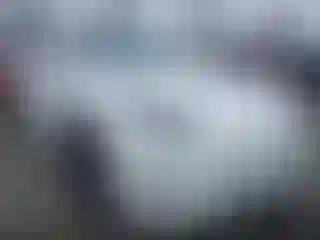 Vehicle Image- 2023 Tesla Model Y