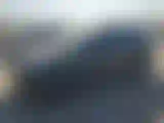 Vehicle Image- 2024 Tesla Model Y