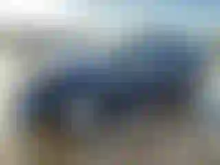 Vehicle Image- 2024 Tesla Model Y