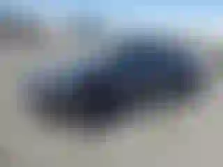 Vehicle Image- 2024 Tesla Model Y