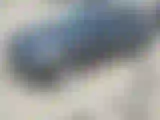 Vehicle Image- 2024 Tesla Model Y
