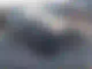 Vehicle Image- 2023 Tesla Model Y