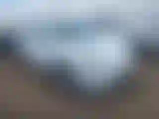 Vehicle Image- 2024 Tesla Model Y