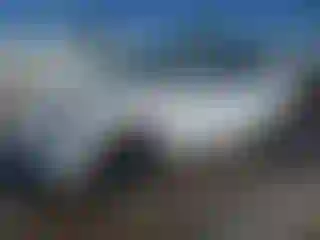 Vehicle Image- 2022 Tesla Model Y