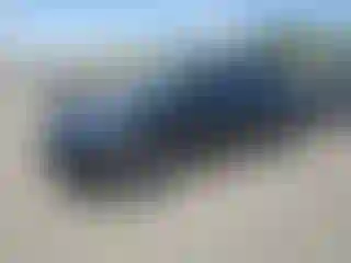 Vehicle Image- 2023 Tesla Model Y