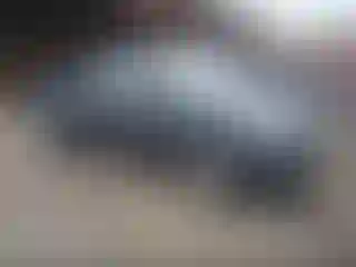 Vehicle Image- 2023 Tesla Model Y