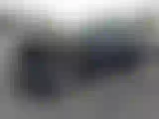 Vehicle Image- 2023 Tesla Model Y