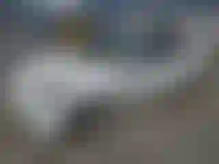 Vehicle Image- 2023 Tesla Model Y