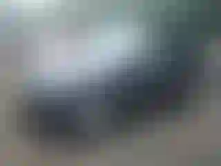 Vehicle Image- 2024 Tesla Model Y