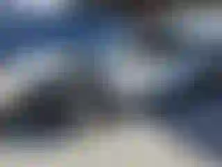 Vehicle Image- 2024 Tesla Model Y