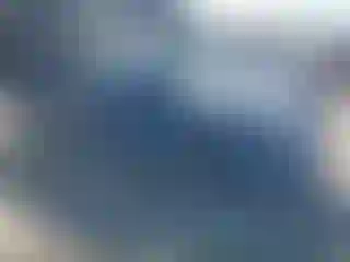 Vehicle Image- 2025 Tesla Model Y