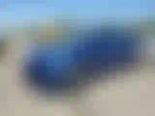 Vehicle Image- 2025 Tesla Model Y